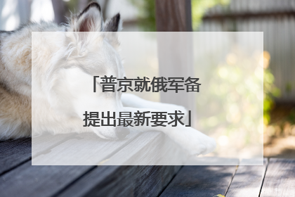 普京就俄军备提出最新要求