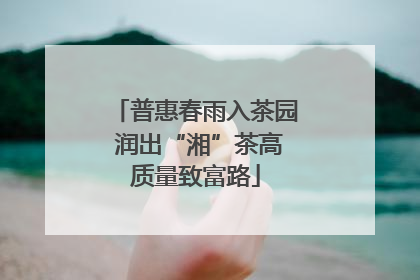 普惠春雨入茶园 润出“湘”茶高质量致富路