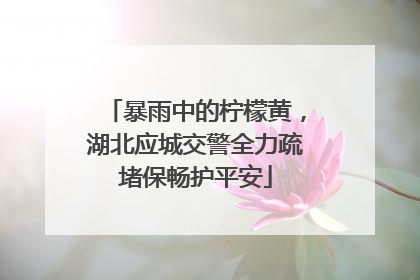 暴雨中的柠檬黄，湖北应城交警全力疏堵保畅护平安