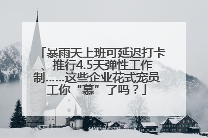 暴雨天上班可延迟打卡、推行4.5天弹性工作制……这些企业花式宠员工你“慕”了吗？