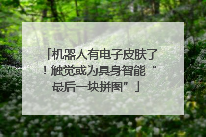机器人有电子皮肤了！触觉或为具身智能“最后一块拼图”