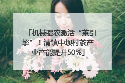 机械强农激活“茶引擎”！清镇中坝村茶产业产能提升50%