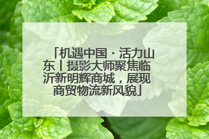 机遇中国・活力山东丨摄影大师聚焦临沂新明辉商城，展现商贸物流新风貌