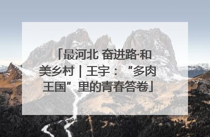 最河北 奋进路·和美乡村｜王宇：“多肉王国”里的青春答卷