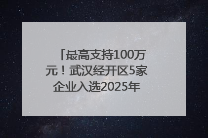 最高支持100万元！武汉经开区5家企业入选2025年度武汉市重点研发计划拟立项项目名单