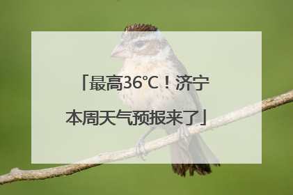 最高36℃！济宁本周天气预报来了