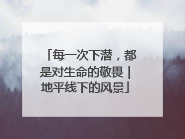 每一次下潜，都是对生命的敬畏｜地平线下的风景
