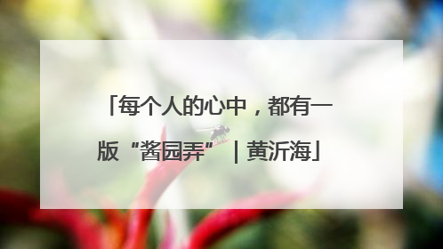 每个人的心中，都有一版“酱园弄”｜黄沂海