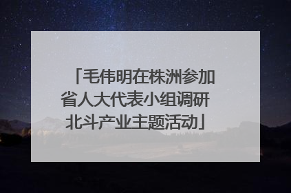 毛伟明在株洲参加省人大代表小组调研北斗产业主题活动