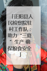 正阳县人民检察院驻村工作队：助力“三夏”生产 确保粮食安全