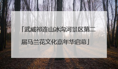 武威祁连山冰沟河景区第二届马兰花文化嘉年华启幕