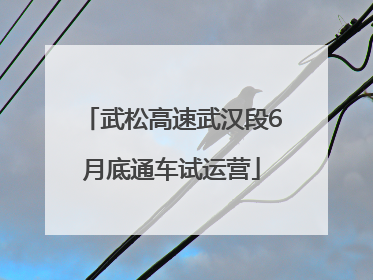 武松高速武汉段6月底通车试运营