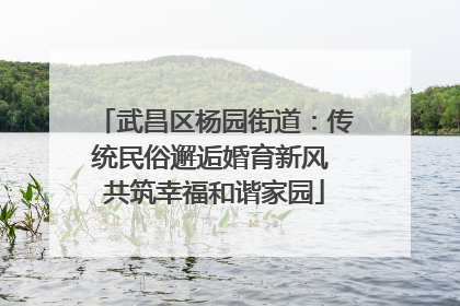 武昌区杨园街道：传统民俗邂逅婚育新风 共筑幸福和谐家园