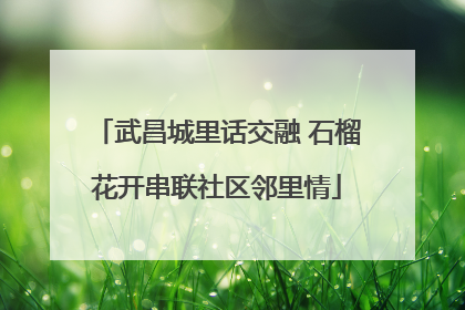 武昌城里话交融 石榴花开串联社区邻里情