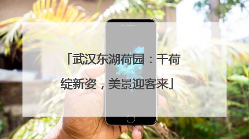 武汉东湖荷园：千荷绽新姿，美景迎客来
