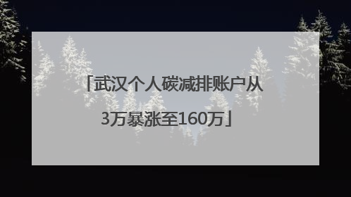 武汉个人碳减排账户从3万暴涨至160万