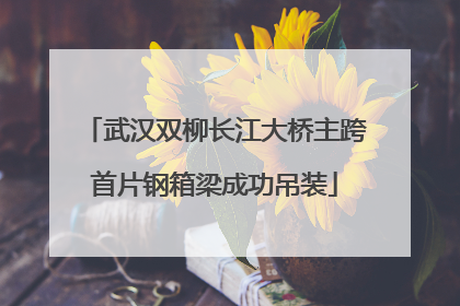 武汉双柳长江大桥主跨首片钢箱梁成功吊装