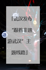 武汉发布“跟着非遗游武汉”主题线路