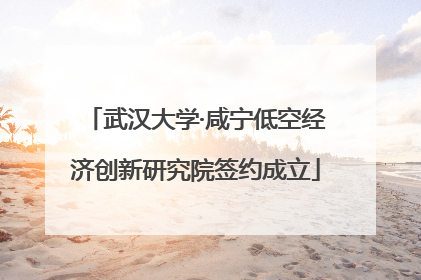 武汉大学·咸宁低空经济创新研究院签约成立