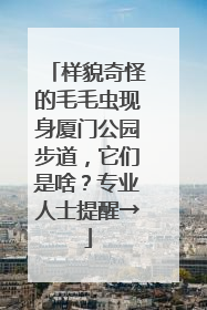 样貌奇怪的毛毛虫现身厦门公园步道，它们是啥？专业人士提醒→
