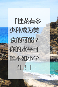 桂花有多少种成为美食的可能？你的水平可能不如小学生！