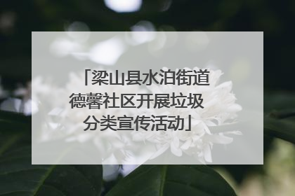 梁山县水泊街道德馨社区开展垃圾分类宣传活动