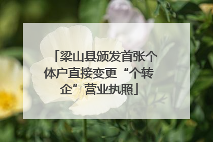 梁山县颁发首张个体户直接变更“个转企”营业执照