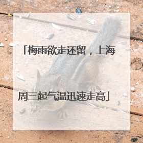 梅雨欲走还留，上海周三起气温迅速走高