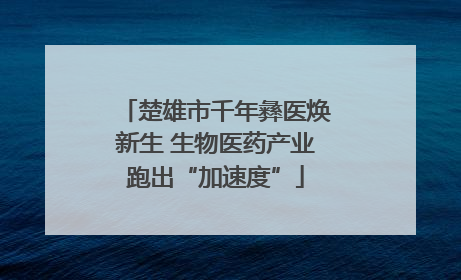 楚雄市千年彝医焕新生 生物医药产业跑出“加速度”
