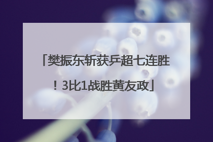 樊振东斩获乒超七连胜！3比1战胜黄友政