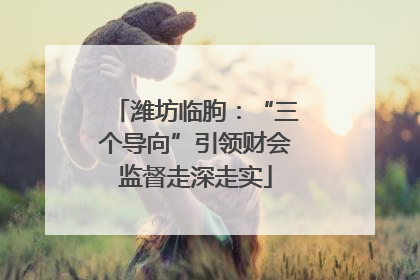 潍坊临朐：“三个导向”引领财会监督走深走实