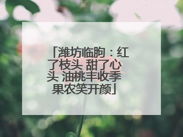 潍坊临朐：红了枝头 甜了心头 油桃丰收季果农笑开颜