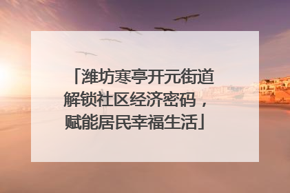 潍坊寒亭开元街道解锁社区经济密码，赋能居民幸福生活