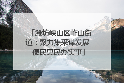 潍坊峡山区岞山街道：聚力集采谋发展 便民惠民办实事