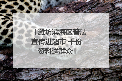 潍坊滨海区普法宣传进超市 千份资料送群众