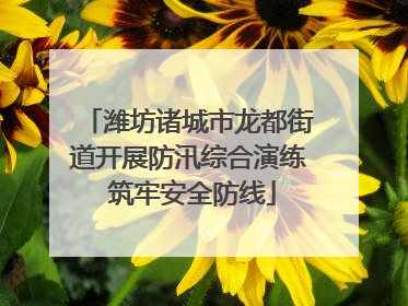 潍坊诸城市龙都街道开展防汛综合演练 筑牢安全防线