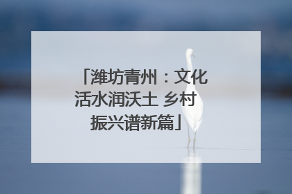 潍坊青州：文化活水润沃土 乡村振兴谱新篇