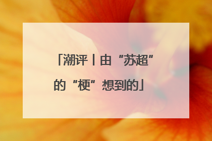 潮评丨由“苏超”的“梗”想到的