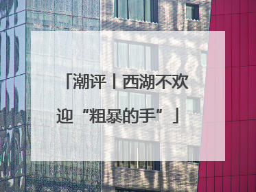 潮评丨西湖不欢迎“粗暴的手”