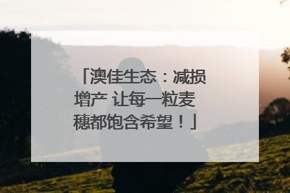 澳佳生态：减损增产 让每一粒麦穗都饱含希望！