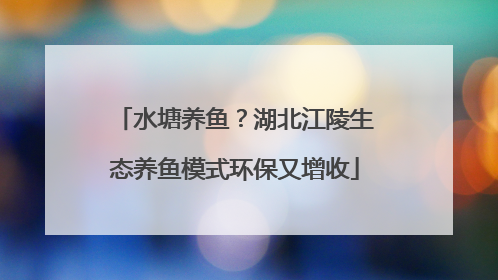 水塘养鱼？湖北江陵生态养鱼模式环保又增收