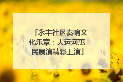 永丰社区奏响文化乐章：大运河惠民展演精彩上演