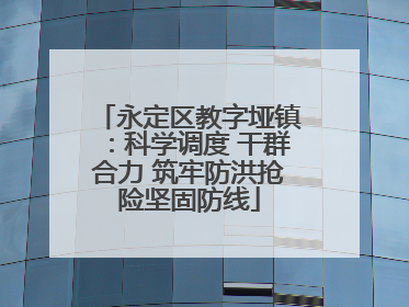 永定区教字垭镇：科学调度 干群合力 筑牢防洪抢险坚固防线