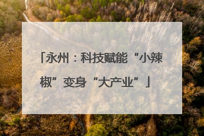 永州：科技赋能“小辣椒”变身“大产业”