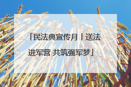 民法典宣传月丨送法进军营 共筑强军梦