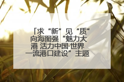 求“新”见“质” 向海图强“魅力大港 活力中国·世界一流港口建设”主题宣传活动走进山东
