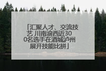 汇聚人才、交流技艺 川南渝西近300名选手在酒城泸州展开技能比拼