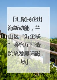 汇聚民企出海新动能，兰山区“沂企联”会客厅打造跨境发展强磁场