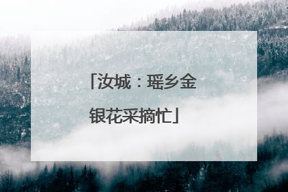 汝城：瑶乡金银花采摘忙