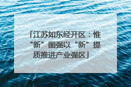 江苏如东经开区：惟“新”图强以“新”提质推进产业强区